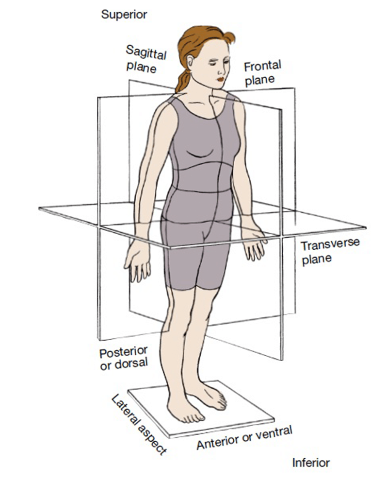 planes-e1574455634638 - Natural Touch Training™ - Premier Training & Accreditation in Massage, Beauty, Wellbeing and Personal Development in the UK