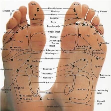Reflexology-2-e1596357520551 - Natural Touch Training - Premier Training & Accreditation in Massage, Beauty, Wellbeing and Personal Development in the UK
