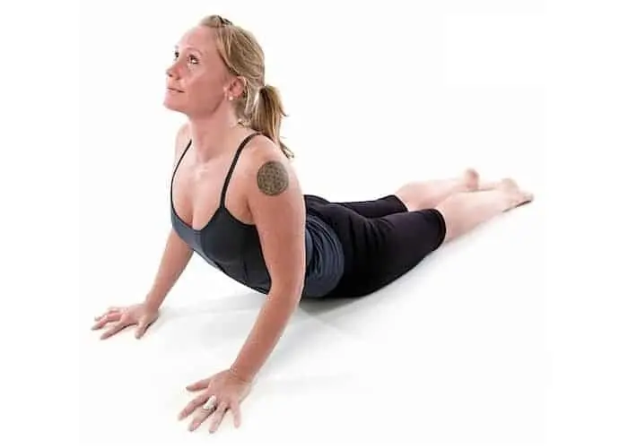 Cobra - Natural Touch Training - Premier Training & Accreditation in Massage, Beauty, Wellbeing and Personal Development in the UK
