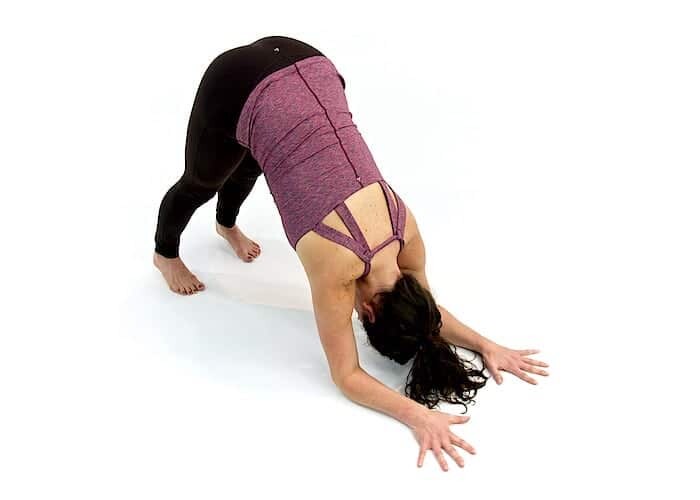 Dolphin-plank - Natural Touch Training - Premier Training & Accreditation in Massage, Beauty, Wellbeing and Personal Development in the UK