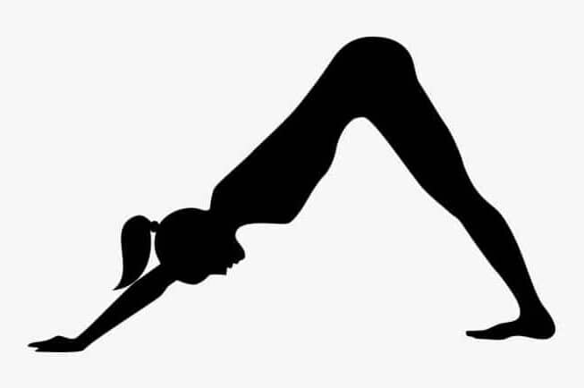 Down-dog-e1612975539788 - Natural Touch Training™ - Premier Training & Accreditation in Massage, Beauty, Wellbeing and Personal Development in the UK