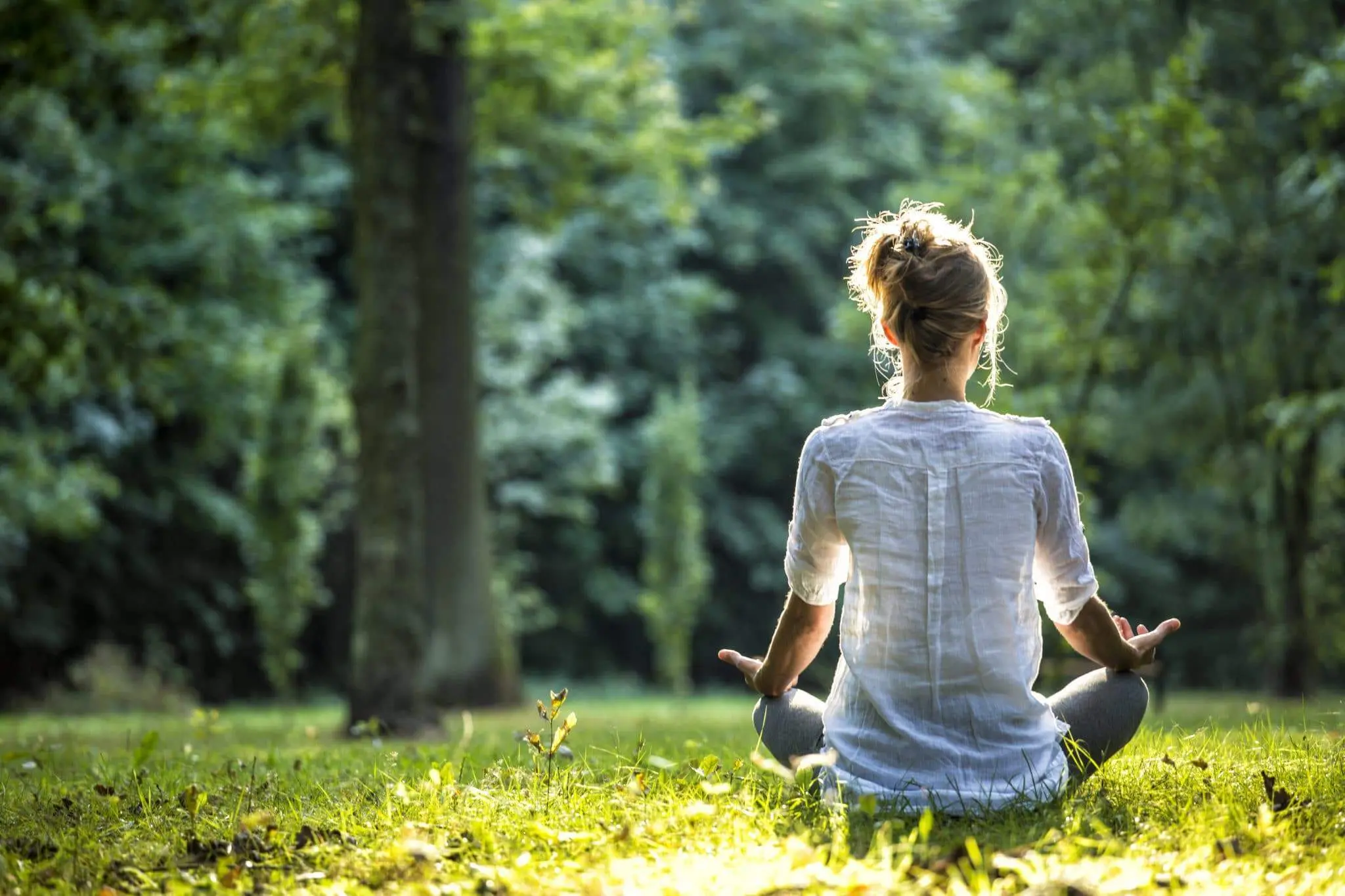Mindfulness & movement
