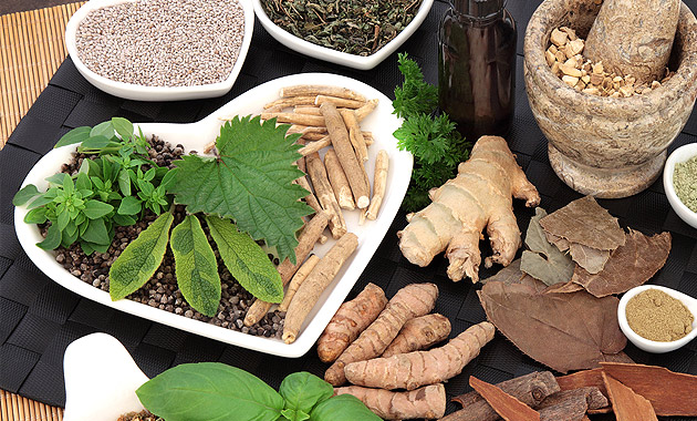 Adaptogens 2.0: The Next Generation of Herbal Stress Support